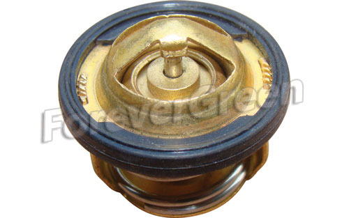 63140 Thermostat CG200